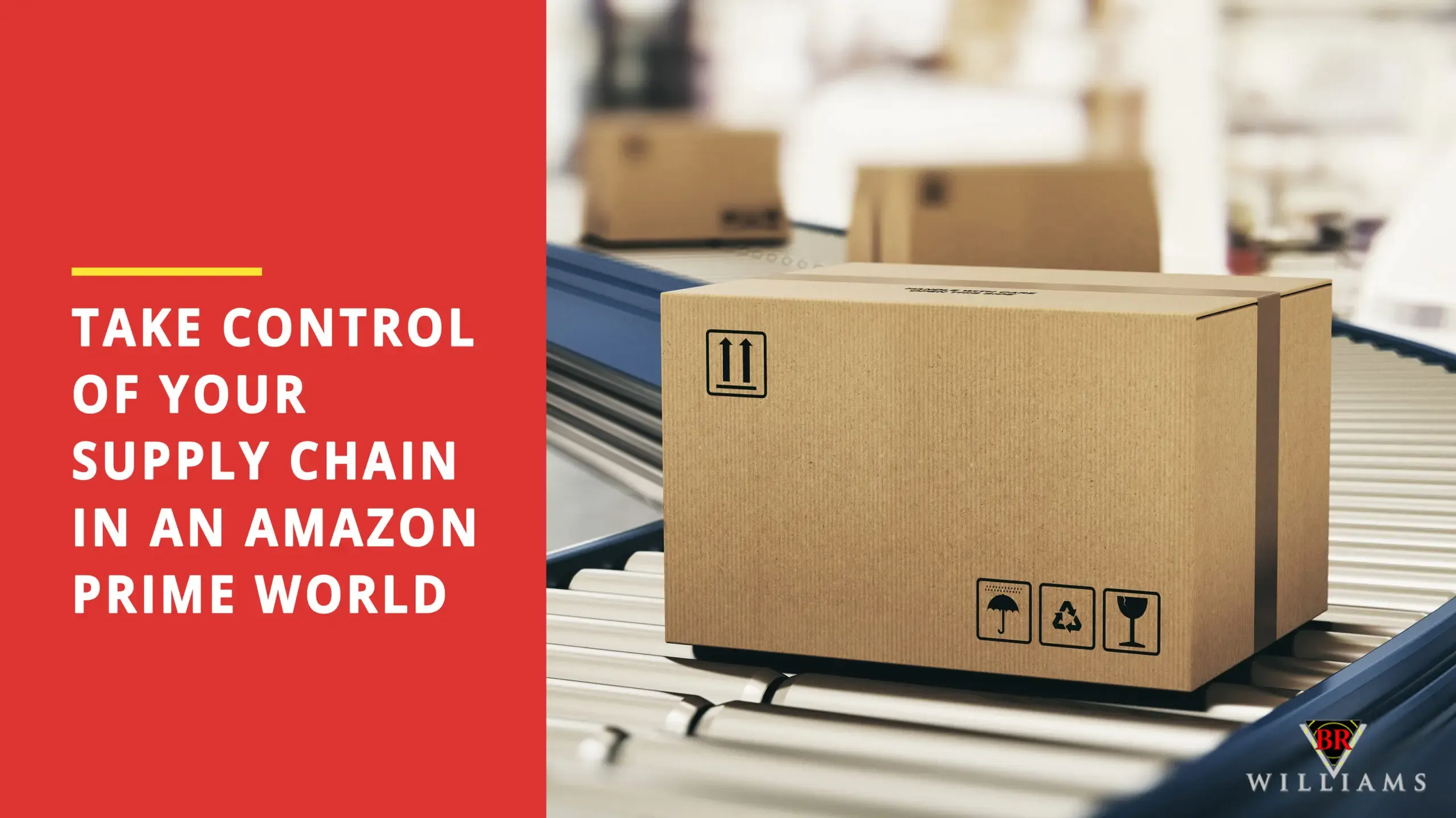 Take Control of Your Supply Chain in an Amazon Prime World